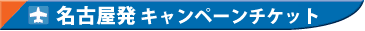 ���É����A�����i���q�󌔂̃L�����y�[���`�P�b�g�͂�����I��Ԃ����I�щ������B