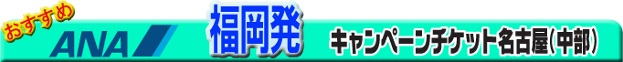 �������@�L�����y�[���`�P�b�g���É�(����)
