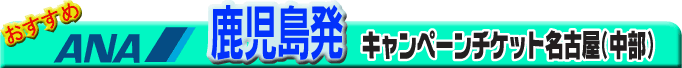 ���������@�L�����y�[���`�P�b�g���É�(����)