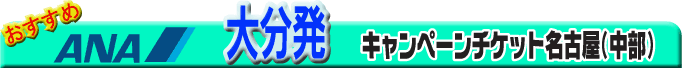 �啪���@�L�����y�[���`�P�b�g���É�(����)