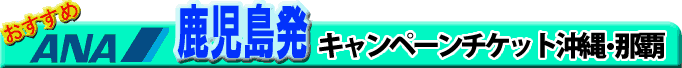 ���������@�L�����y�[���`�P�b�g����E�ߔe