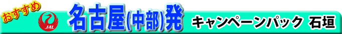 名古屋発キャンペーンチケット 石垣