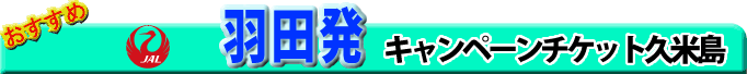�H�c�����@JAL�L�����y�[���`�P�b�g�v�ē��s��