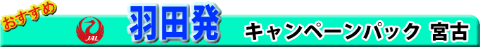 �H�c�����@JAT�L�����y�[���`�P�b�g�{�Ís��