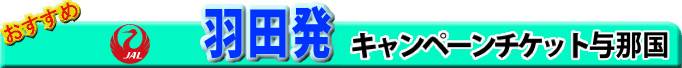 �H�c�����@JAL�L�����y�[���`�P�b�g�^�ߍ��s��