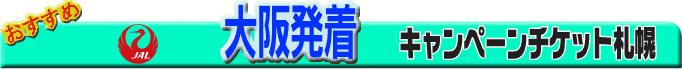 ��㔭���@�`�m�`�L�����y�[���`�P�b�g�D�y�s��