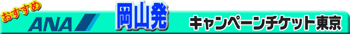 ���R���@�L�����y�[���`�P�b�g����
