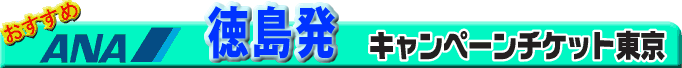 �������@�L�����y�[���`�P�b�g����