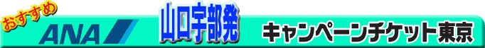 �R���F�����@�L�����y�[���`�P�b�g����