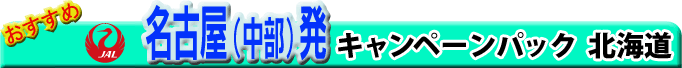 JAL名古屋(中部)発キャンペーンチケット北海道
