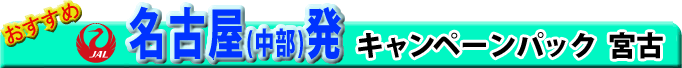 名古屋発キャンペーンチケット 宮古